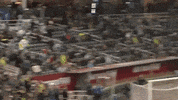 Soccer Newmexico GIF by New Mexico United