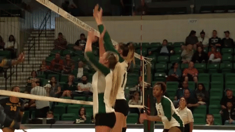 celebration emueagles GIF by EMU Athletics