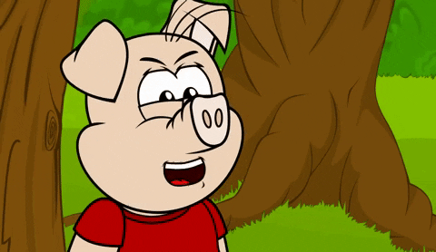 pig lol GIF by Estudios Animeco