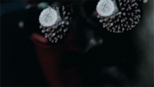 the last man on earth GIF by Fox TV