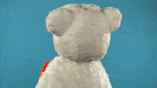 Shocked Surprise GIF by Ohio Northern University