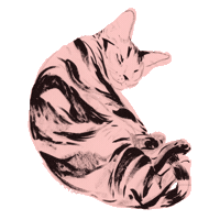 Cats Sticker