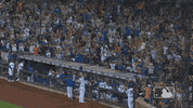 Celebrate Ny Mets GIF by New York Mets