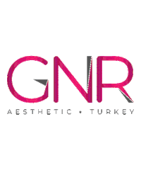 gnresthetic bbl breast gnr liposuction Sticker