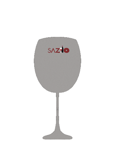 sazio giphyupload vino zurigo saziozurich Sticker
