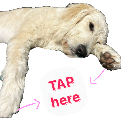 Dog Tap Sticker