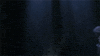 batman forever GIF