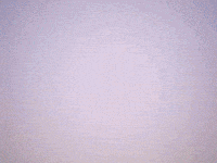 Who Is This Gif Edit GIF