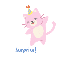 Happy Birthday Wow Sticker by Cubcoats