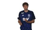 Schalke 04 Clapping Sticker by Bundesliga