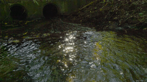 water sun GIF by Living Stills