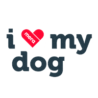 I Love Cat Sticker by mera petfood