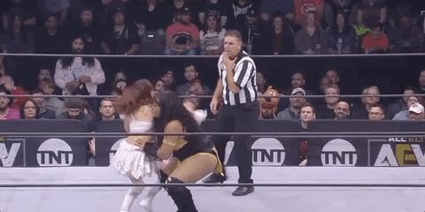 Aew On Tnt Wrestling Match GIF by All Elite Wrestling on TNT