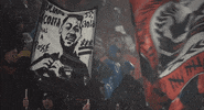 dcunited soccer futbol mls dc GIF