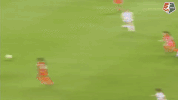 houston dash soccer GIF by Washington Spirit