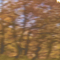 Ateez Hj GIF