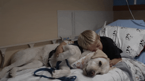 sydisenbergD7 giphyupload GIF