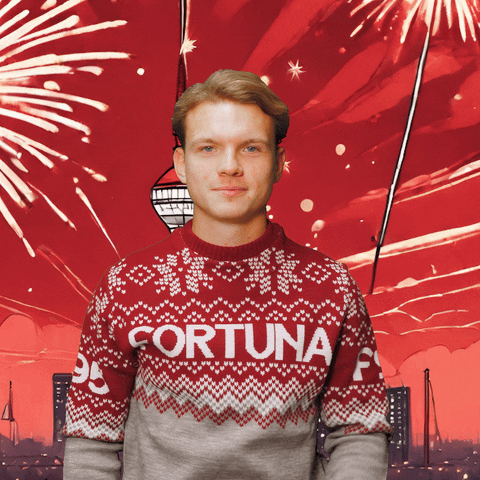 Happy New Year Party GIF by Fortuna Düsseldorf