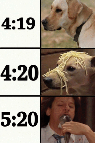 GIF by Adult Swim