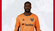 Bill Hamid Mls GIF by D.C. United