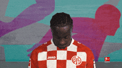 Football Soccer GIF by Bundesliga