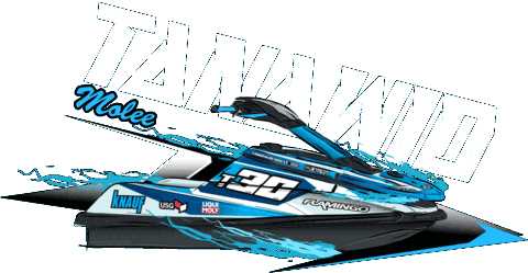 Racing Flamingo Sticker by SMD Graphics