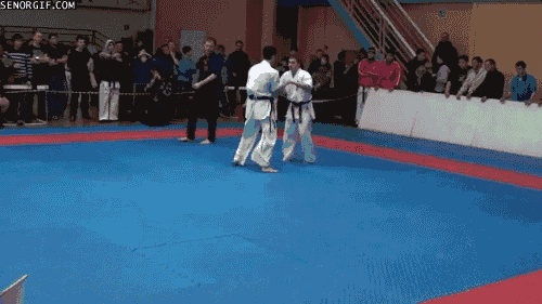 knock out karate GIF by Cheezburger