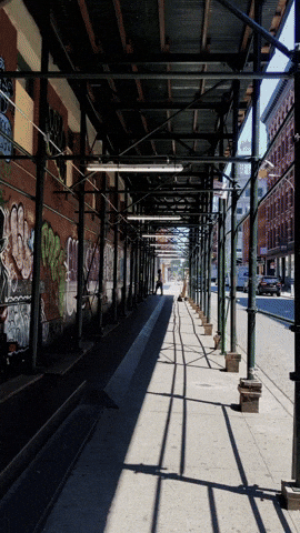Art Wtf GIF by shanef3d