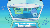 season 9 GIF by SpongeBob SquarePants