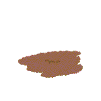 Flower Plants Sticker by Calbee_jp