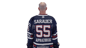 Ice Hockey Sticker by Fehervar AV19