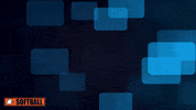 Carson Newman Cn GIF by Carson-Newman Athletics
