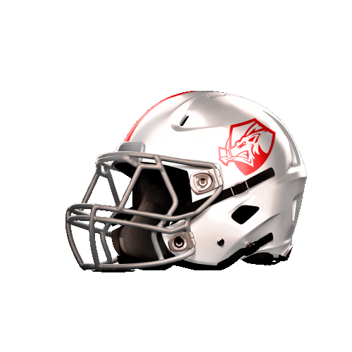 Football Nfl Sticker by IMPERIALSREUS