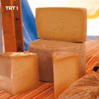 Eat Cheddar Cheese GIF by TRT