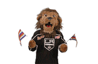 Ice Hockey Sticker by NHL