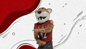 Washington State Go Cougs GIF by WSU Pullman