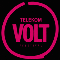 voltfesztival volt sopron voltfesztival volt2019 GIF