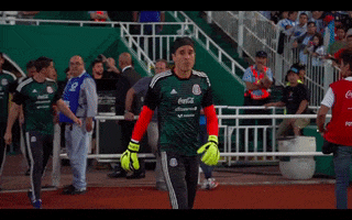 celebrate come on GIF by MiSelecciónMX