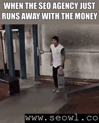 seowl_app seo seowl GIF