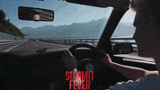 Drive Driving GIF by Signature Entertainment
