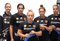 F-liiga floorball salibandy innebandy fliiga Sticker
