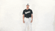 Huntington University Baseball GIF by FDN Sports