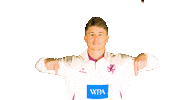 Wpa Sticker by Somerset County Cricket Club