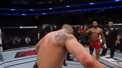 ufc 213 GIF