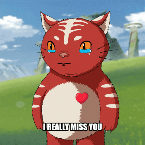 Cat Love GIF by Kitaro World