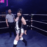 Wwe GIF