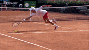 Fail Atp Tour GIF by Tennis TV