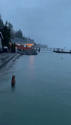 'Highest Tide I've Ever Seen': Water Threatens Houses in Pacific Northwest During King Tide