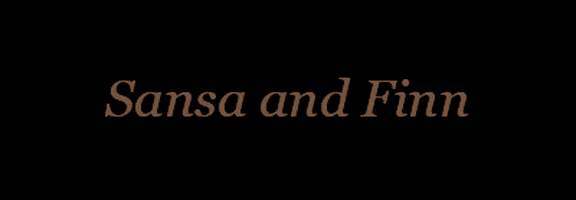sansa and finn GIF
