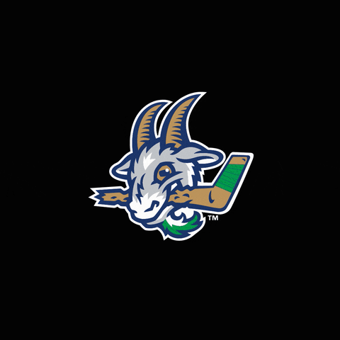 Yard Goats Smile GIF by Hartford Yard Goats